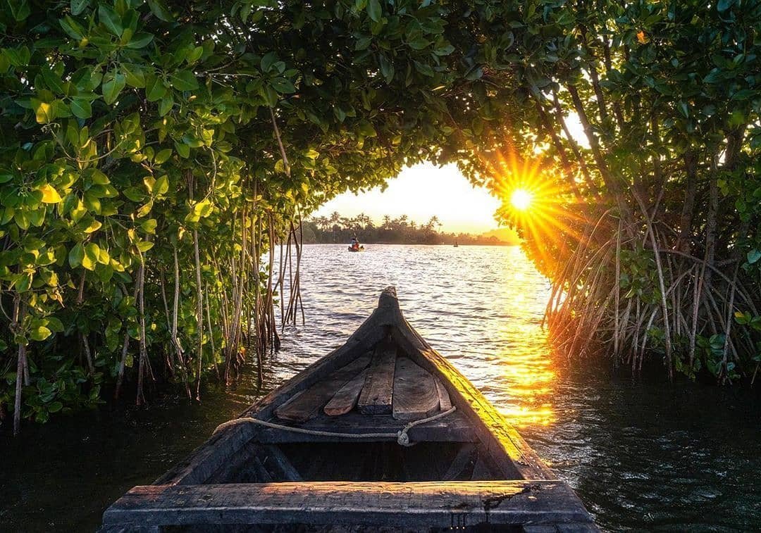 Scenic Mundro Canoe Tours — Canoe tour in Munroe Island