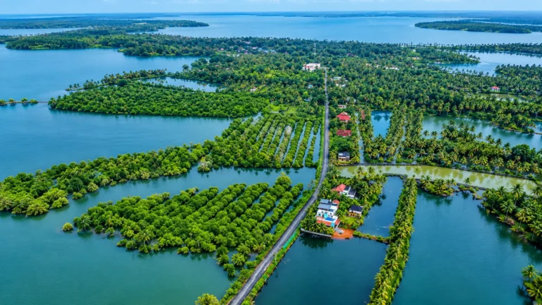 Discover Munroe Island: The Ultimate Guide to Backwater Adventures in Kerala
